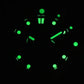 Pagani Design PD - 1767 Luxury Automatic Mechanical Watch 200 m Waterproof - Michas.Zeithaus